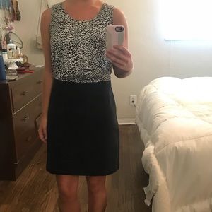 Ann Taylor LOFT dress